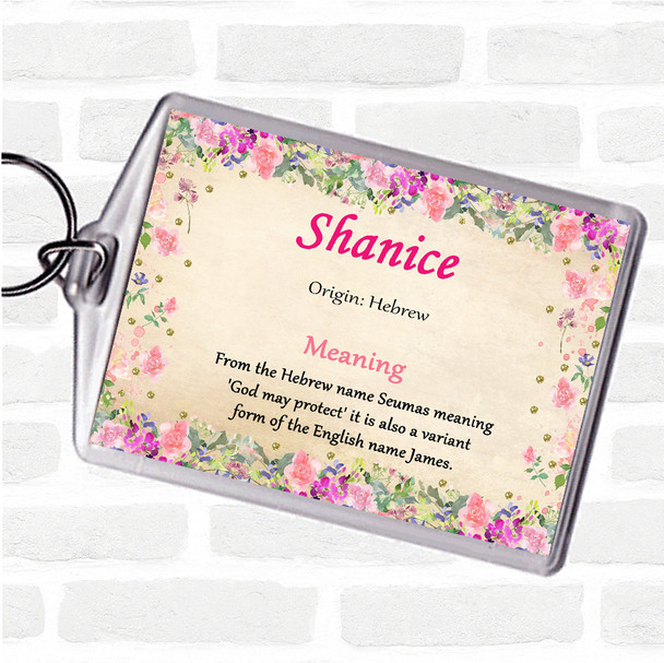 Shanice Name Meaning Bag Tag Keychain Keyring  Floral
