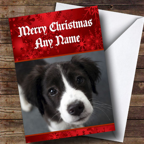 Border Collie Puppy Dog Personalised Christmas Card - The Card Zoo