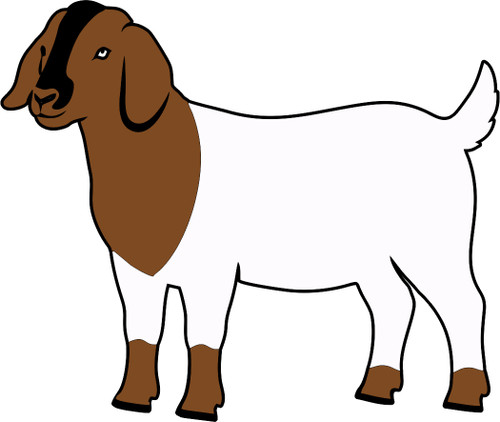 LAMBS - LASER DIE CUT