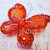 Butterfly - 2" Red