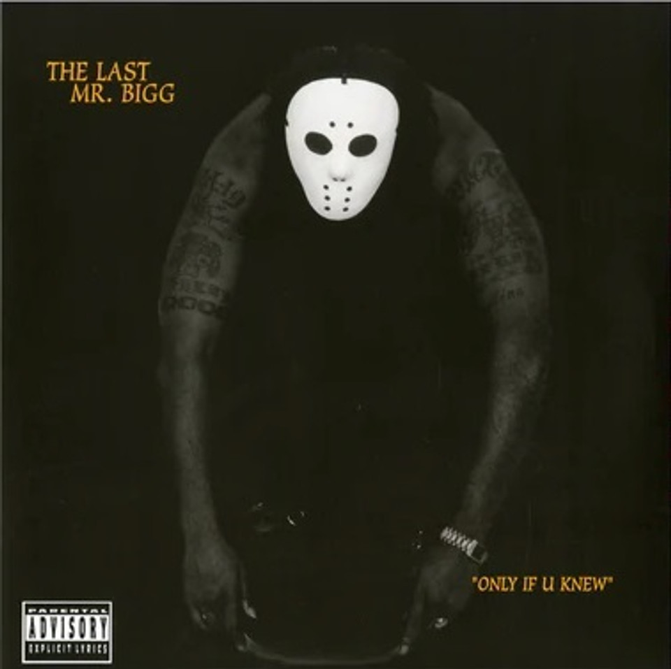 The Last Mr. Bigg - Only If U Knew Vinyl Record
