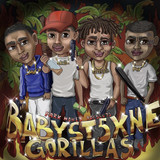 Baby Stone Gorillas - Babyst5xne Gorillas CD