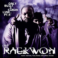 Raekwon - Only Only Built 4 Cuban Linx Pt. II (Black) Vinyl Record