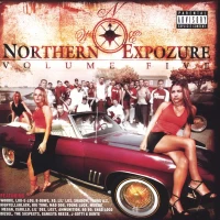 Woodie - Northern Expozure 5 (Merlot Gold Splatter) Vinyl Record