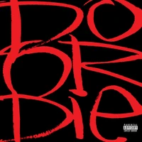 Do or Die - Picture This (Black) Vinyl Record