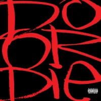 Do or Die - Picture This CD