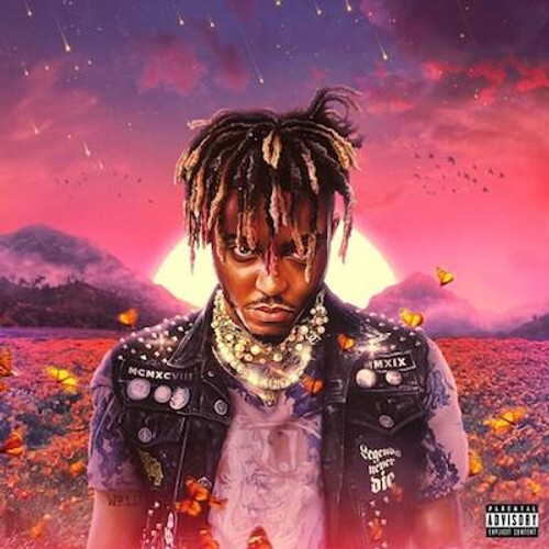 【シュリンク付き】Juice wrld THE PARTY NEVERレコード 2LP Juice WRLD - The Party Never Ends Limited Sky Blue Color