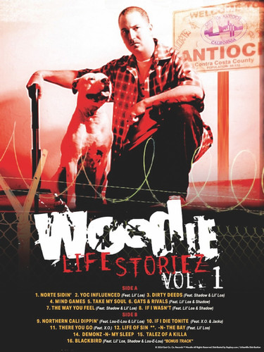 Woodie - Life Storiez (Front Cover) Poster