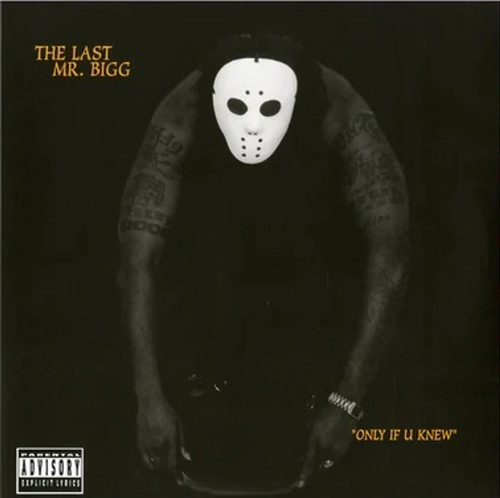 The Last Mr. Bigg - Only If U Knew Vinyl Record The Last Mr. Bigg - Only If U Knew Vinyl Record