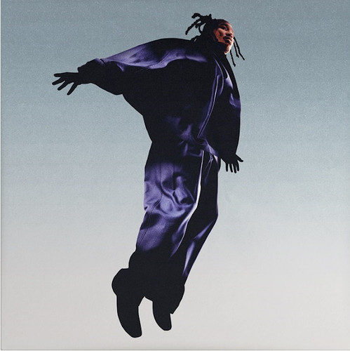 MAVI - The Pilot (Dark Purple) Vinyl Record