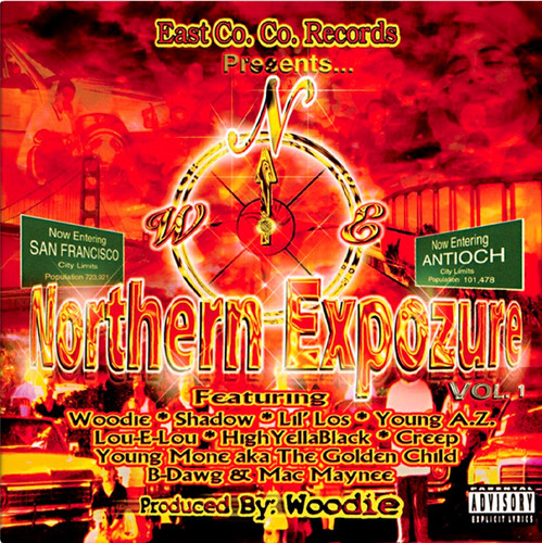 Woodie - Northern Expozure Vol. 1 (Swirl) Vinyl Record