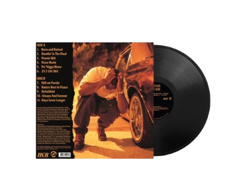 The Govenor - Floss Mode Vinyl Record
