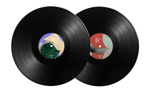 DJ Shadow - Mountain Will Fall (10th Anniversary) Vinyl Record