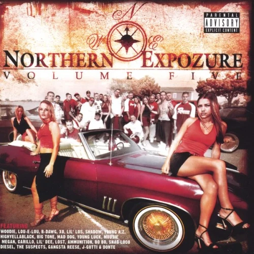 Woodie - Northern Expozure 5 (Merlot Gold Splatter) Vinyl Record