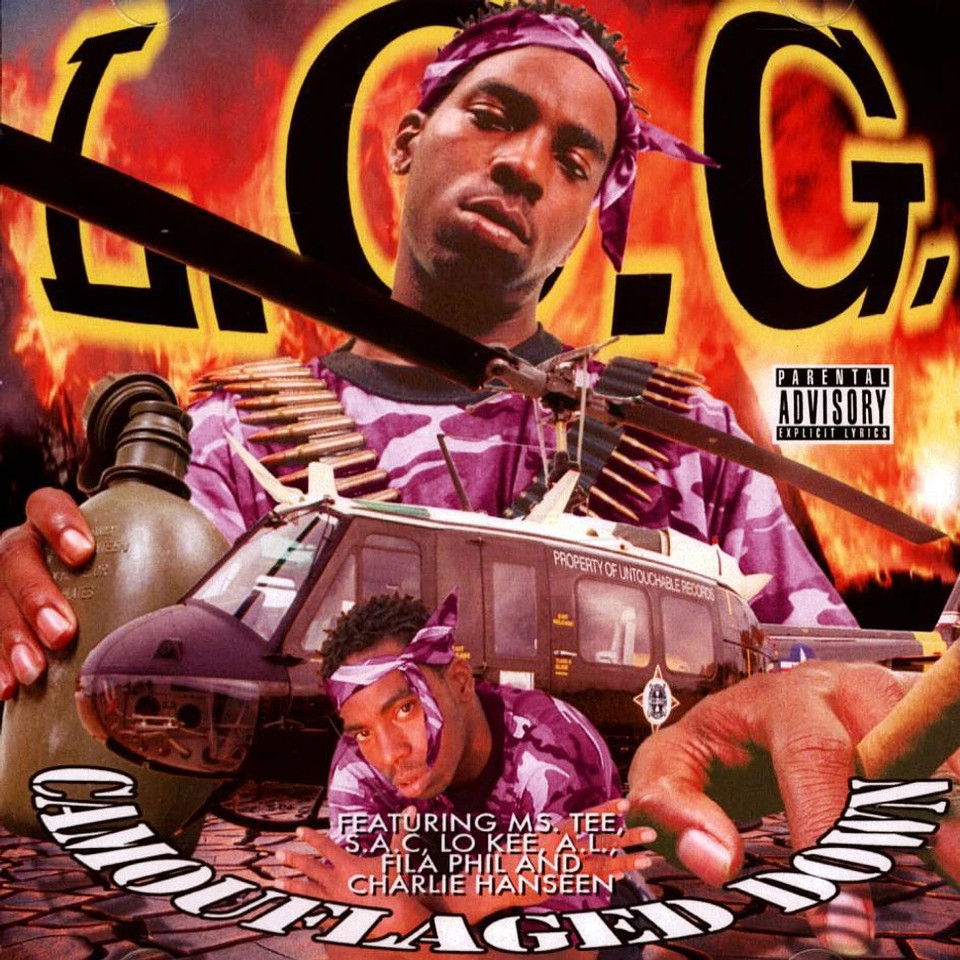 log-camouflaged-down-cd-