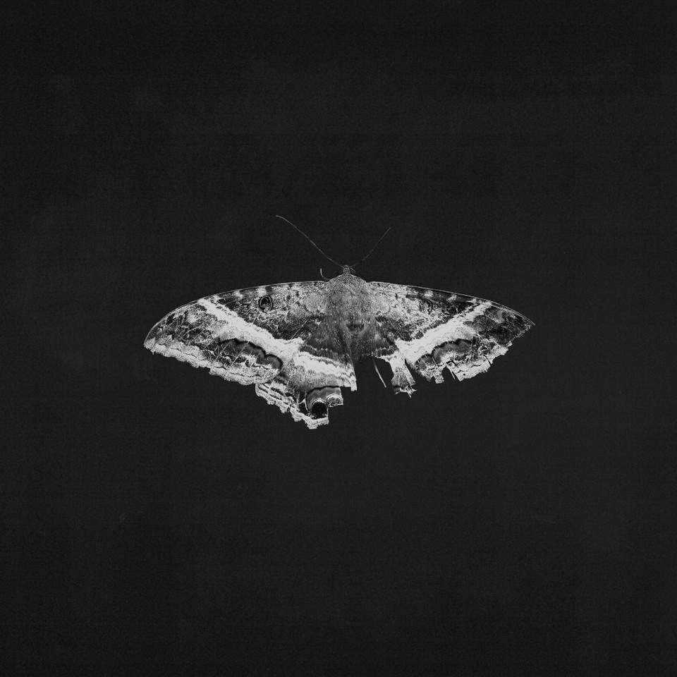 Kendrick Lamar - To Pimp A Butterfly (Metallic) Vinyl Record