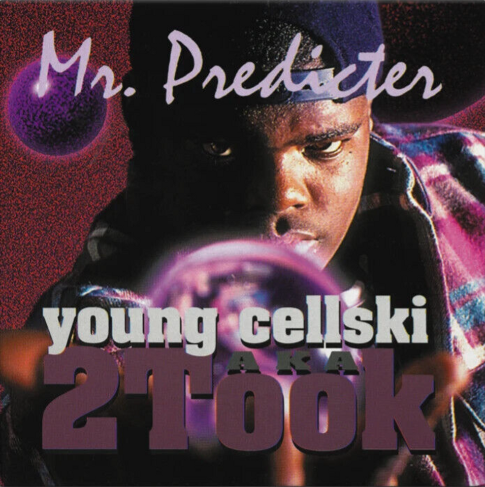 Cellski - Mr. Predicter (Amethyst) Vinyl Record