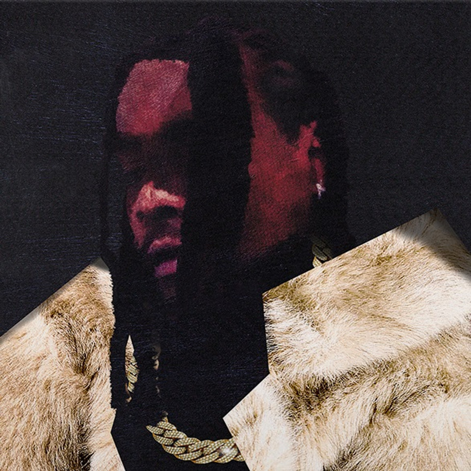 Wale - Everything Is a Lot CD