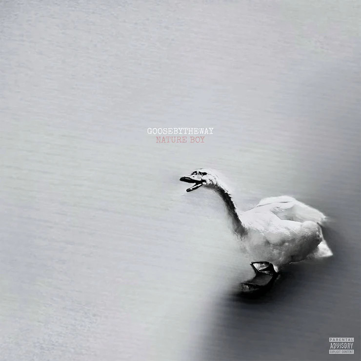 GooseByTheWay - Nature Boy (White) Vinyl Record
