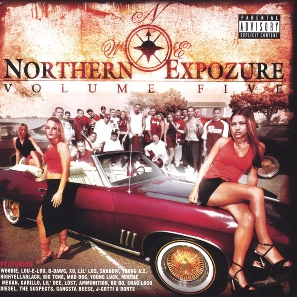 Woodie - Northern Expozure 5 (Merlot Gold Splatter) Vinyl Record