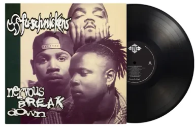 90s レコード 5枚セット Das EFX Fu-Schnickens レコード 90s レコード 5枚セット Das EFX Fu-Schnickens