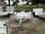 AR7714TILT --- 2026 77" x 14' Single Axle Aluminum Tilt Trailer - 2,990 GVWR #AR6573