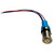 Bluewater 19mm Push Button Switch - Off\/(On) Momentary Contact - Blue\/Red LED - 1' Lead [9057-2113-1]