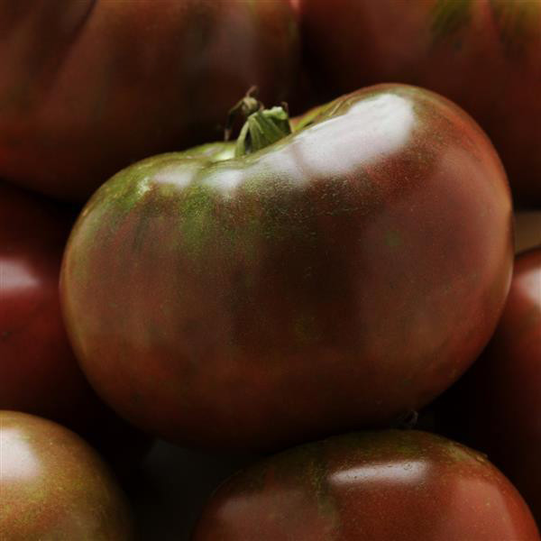 Tomato 'Black Krim' Horsford Gardens and Nursery