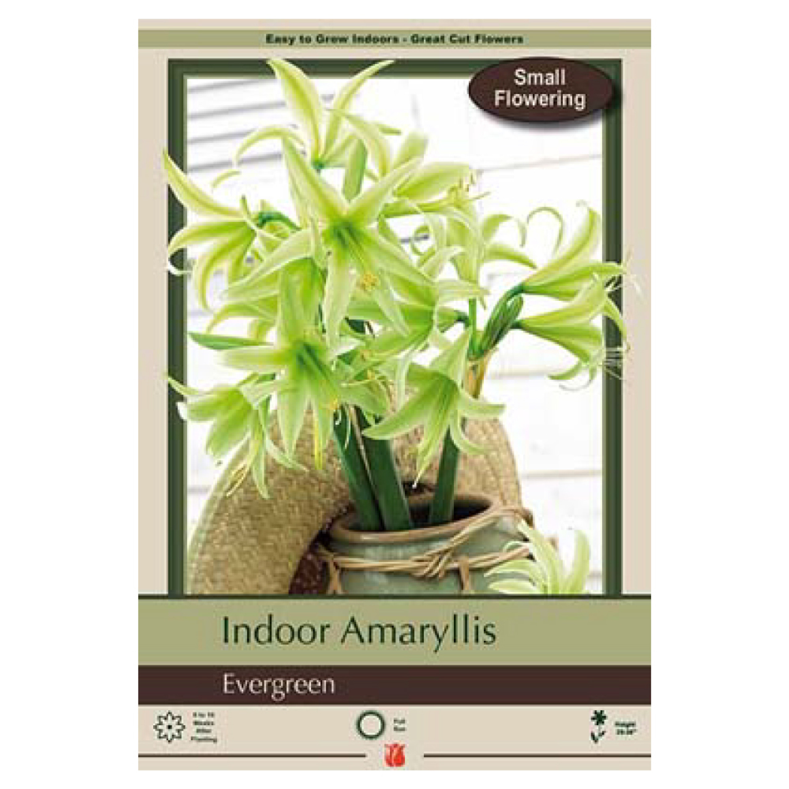 Plant Catalog Page 3