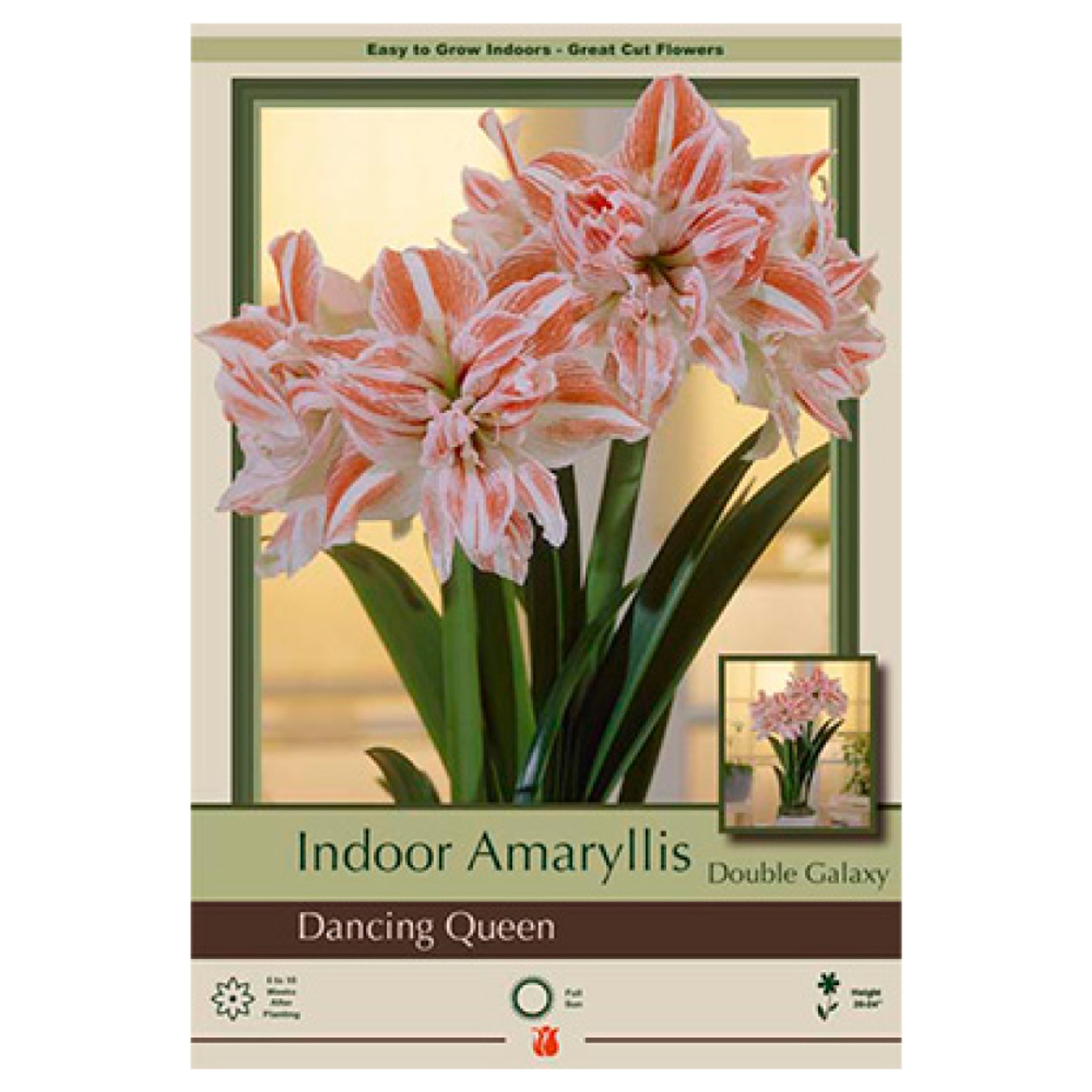 Plant Catalog Page 3