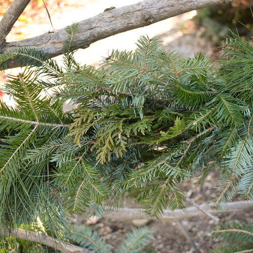 Roping - Wild Greens