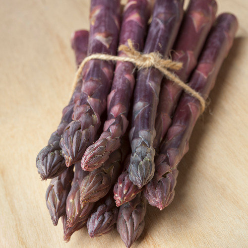 Asparagus 'Sweet Purple'