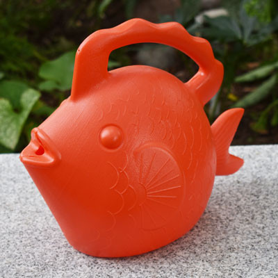 Novelty Fish Watering Can