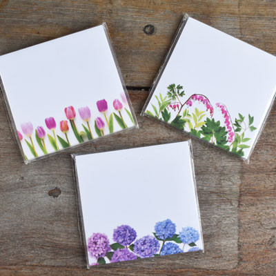 Bottle Branch Sticky Notes