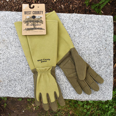 WCG Gauntlet Rose Glove