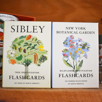 Flashcard