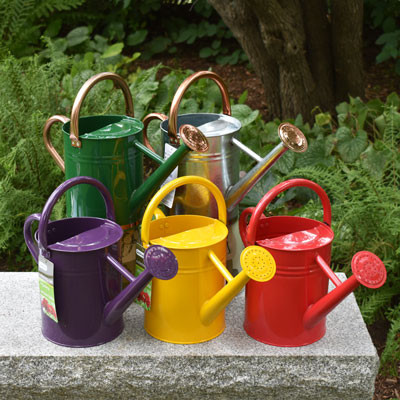 WSP Watering Can