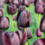 Tulip 'Queen of Night'