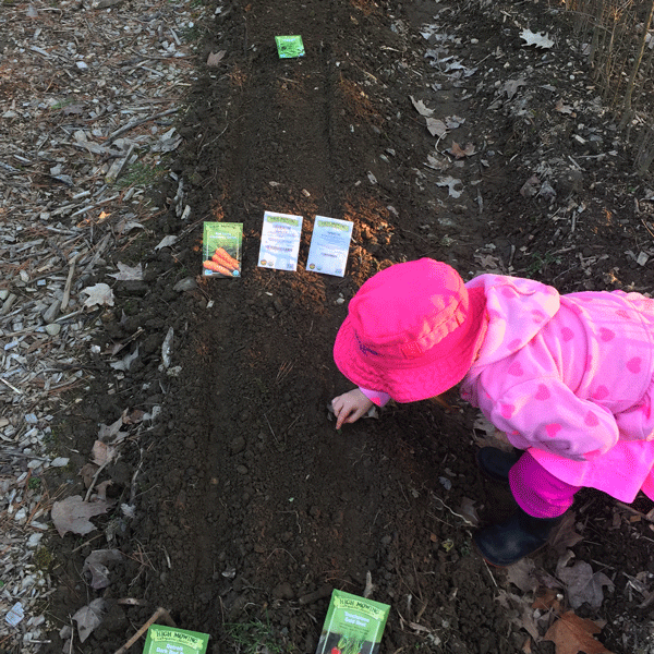 a small child plants seeds in a bed of dirt