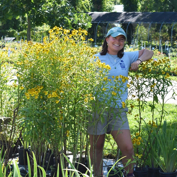girl with tall yellow helenium blooms