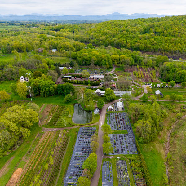drone shot of the nursery including perennial mats, fields, and buildings