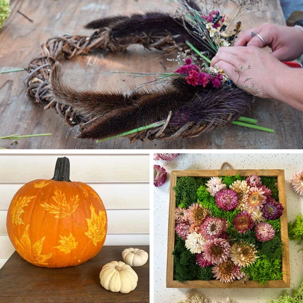 split screen with images of carved pumpkin, handmade wreath, and moss wall hanging