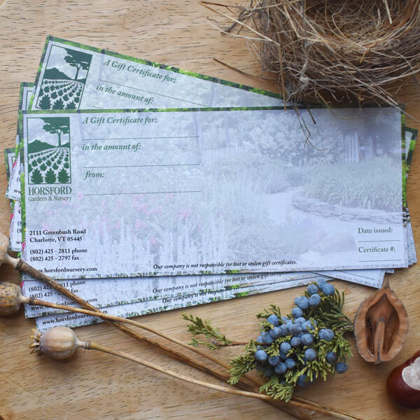 gift certificate with seed pods