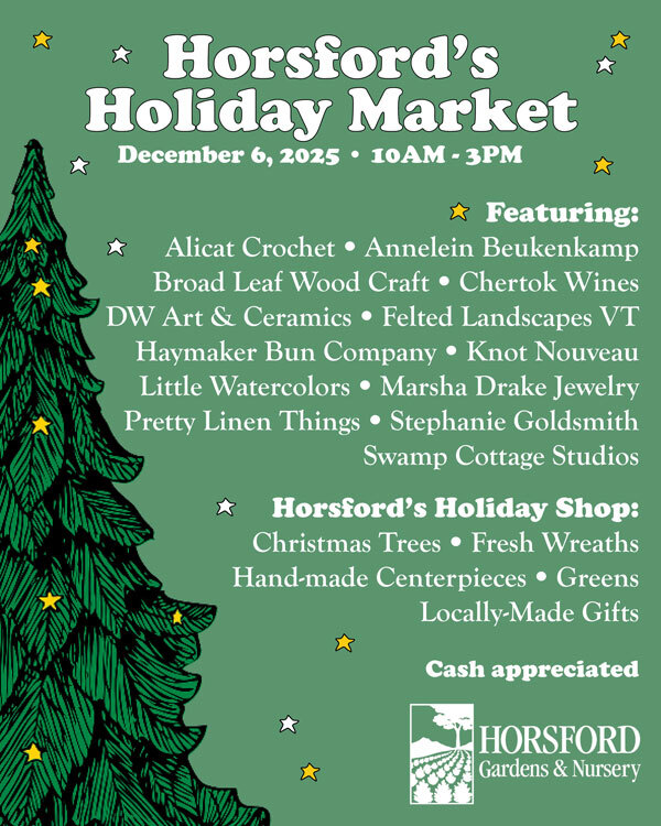 flier for outdoor holiday market local vendors makers artists