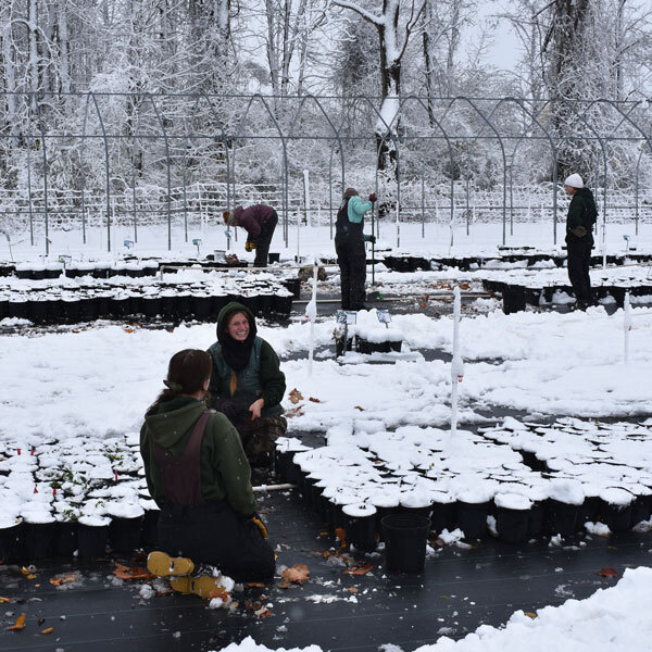 Workers preparing a snowy space and cleaning mats