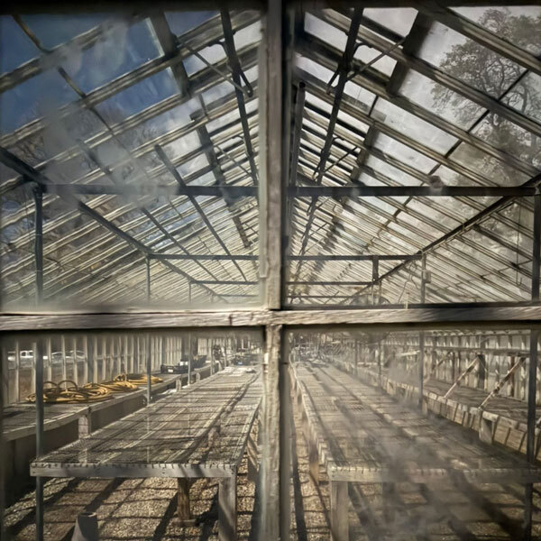 an empty greenhouse lit up by moonlight