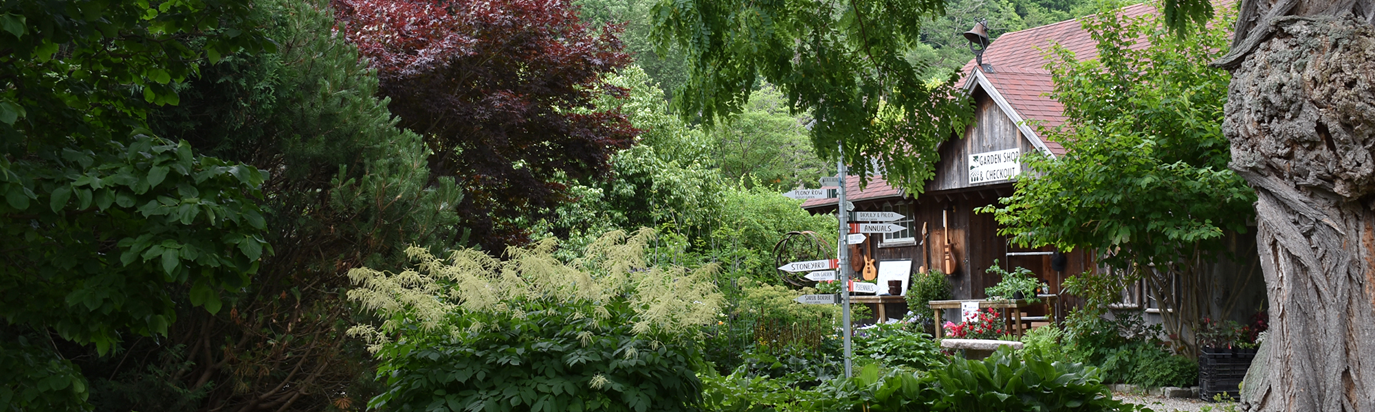 Display gardens and Garden Center