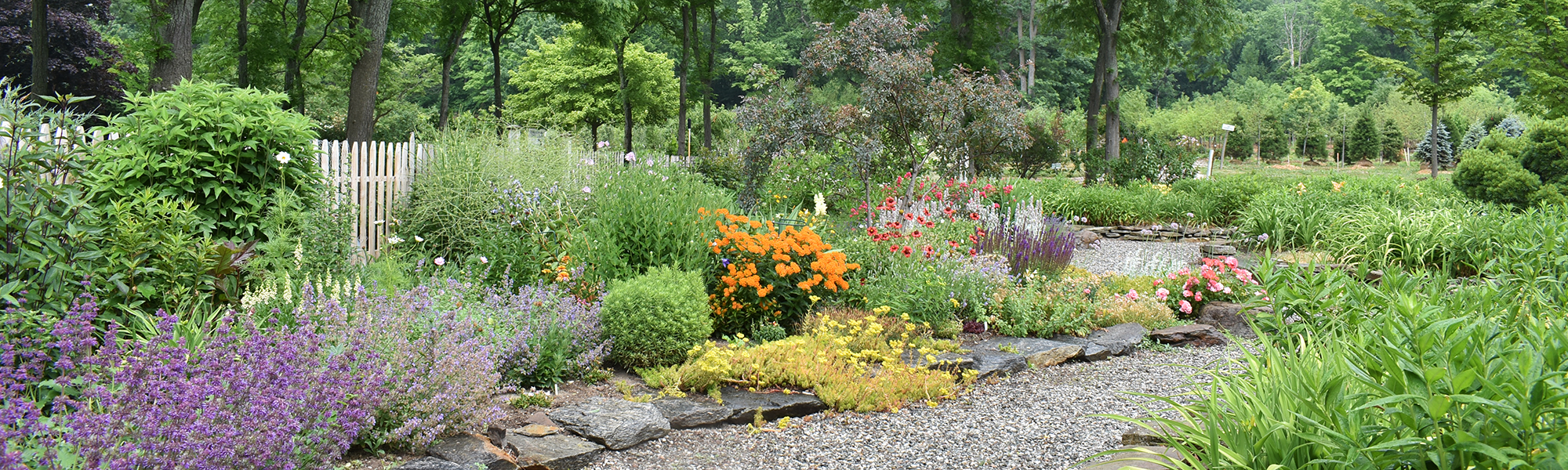 Variety of plants in sun display garden