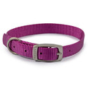 Ancol Viva Buckle Col Purple 20-26cm