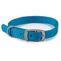 Ancol Viva Buckle Col Blue 26-31cm